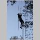 252 Ladders Marche Les Dames.JPG